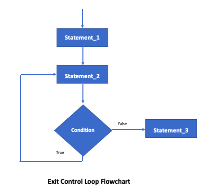 Entry control vs Exit control loop in C - Readersnepal